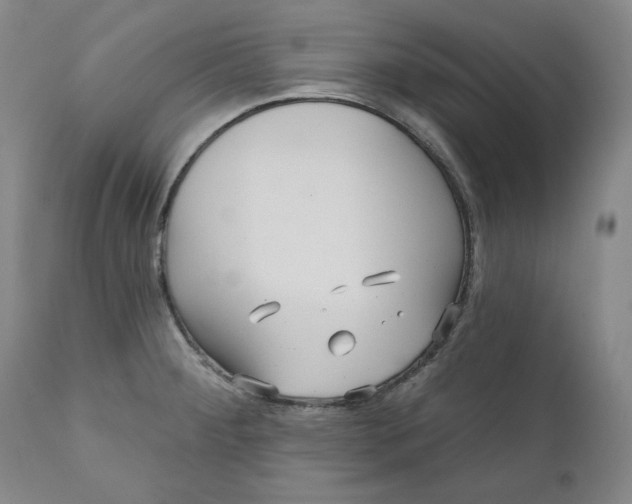 X0000111641284200908071333