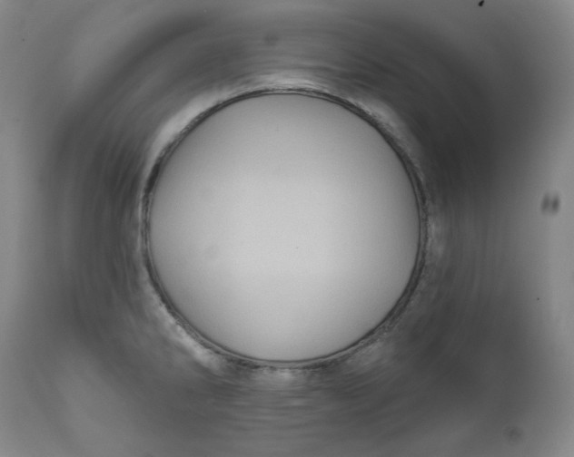 X0000111641286200908071333