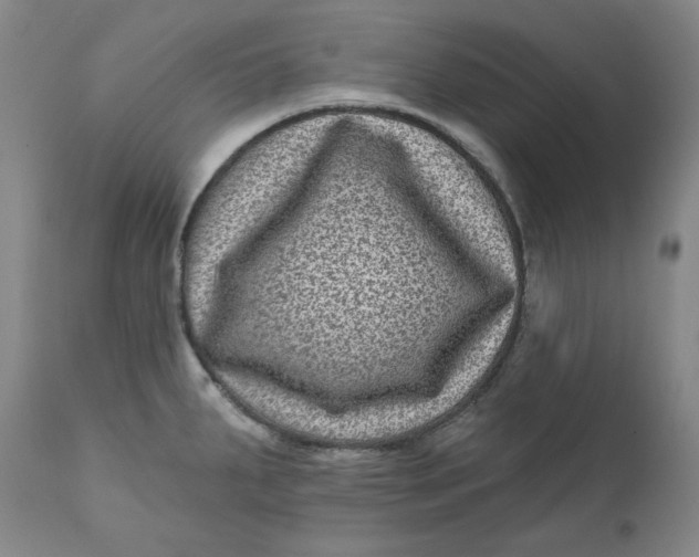 X0000111641287200908071333