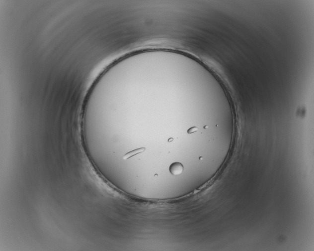 X0000111641288200908071333