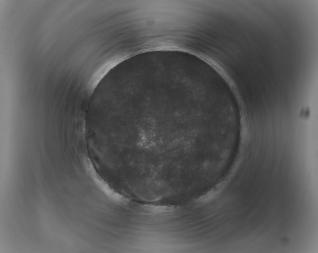 X0000111641289200908071333