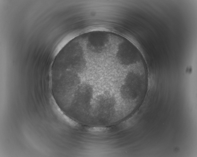 X0000111641290200908071333