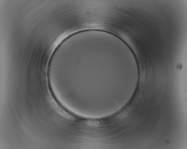 X0000111641291200908071333