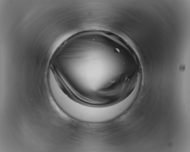 X0000111641293200908071333