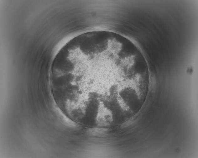 X0000111641294200908071333