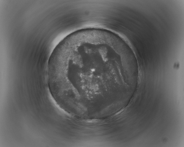 X0000111641295200908071333