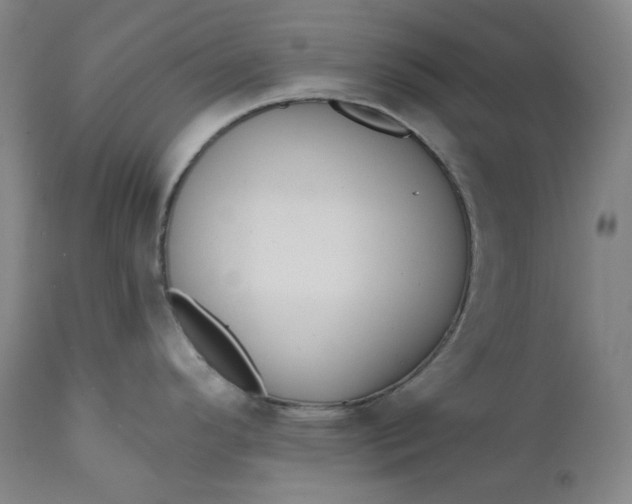 X0000111641296200908071333