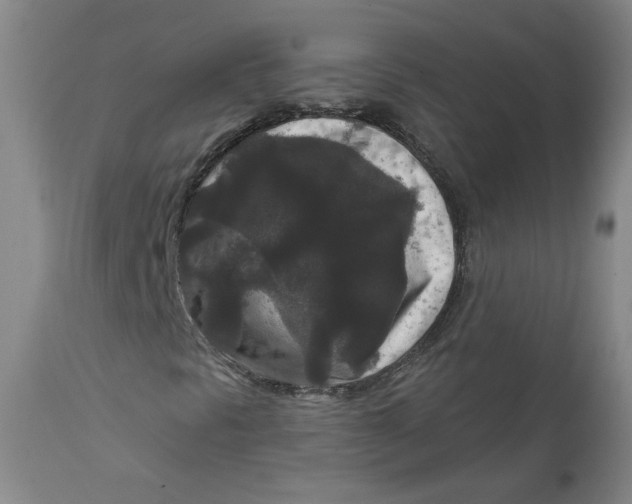 X0000111641297200908071332