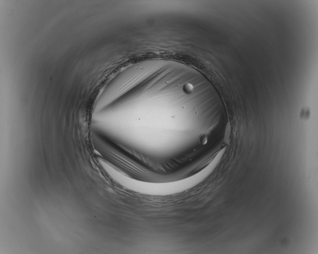 X0000111641298200908071332