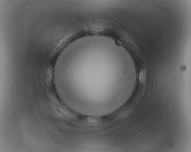 X0000111641299200908071332