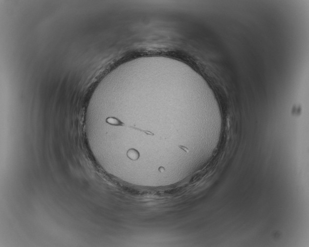 X0000111641300200908071332