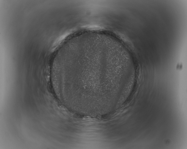 X0000111641301200908071332