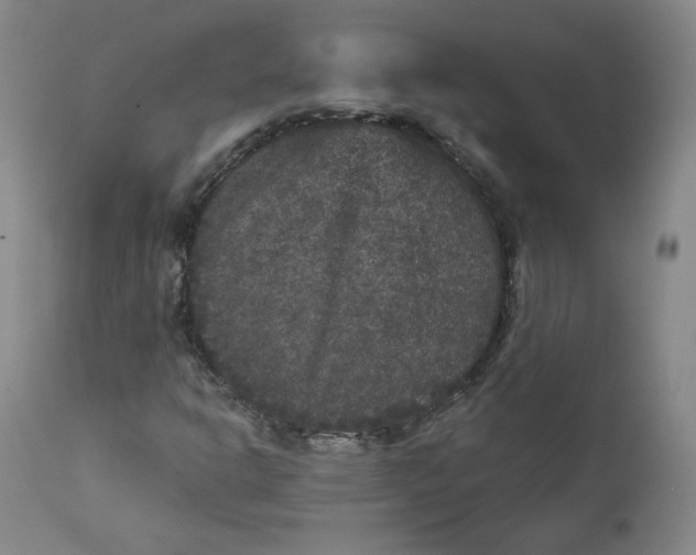 X0000111641302200908071332