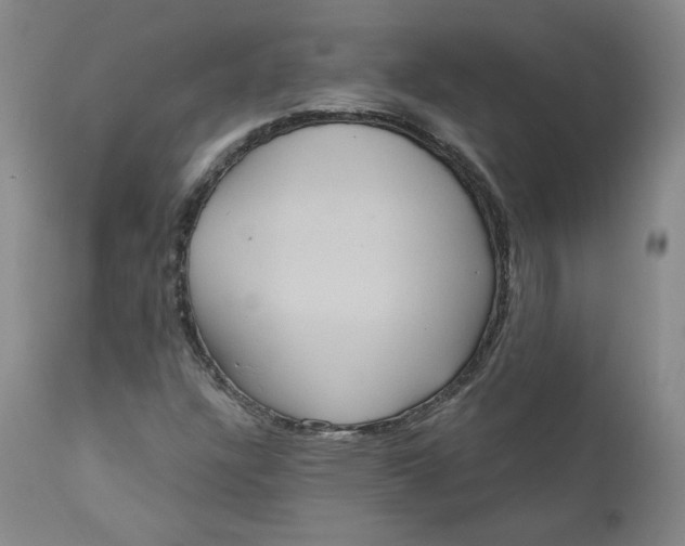 X0000111641304200908071332