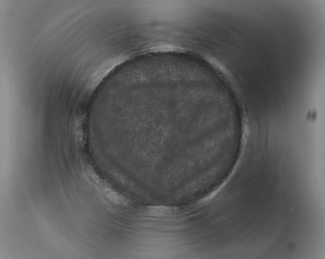 X0000111641305200908071332