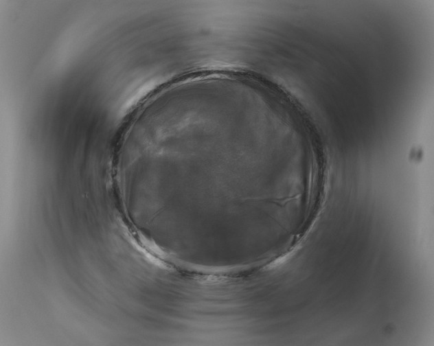 X0000111641306200908071332