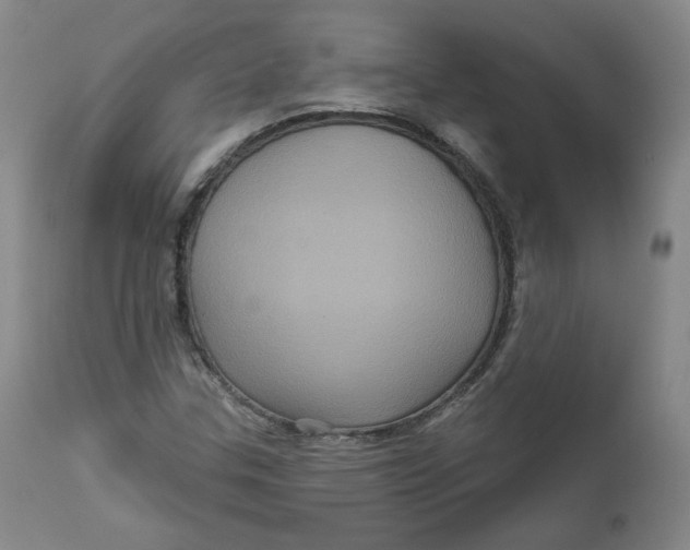 X0000111641307200908071332