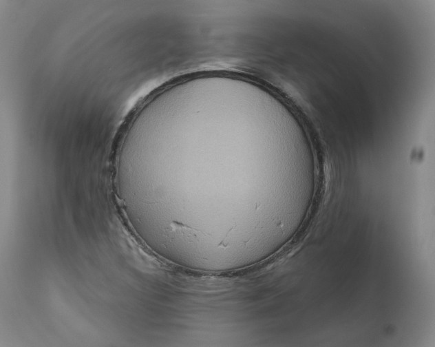 X0000111641308200908071332