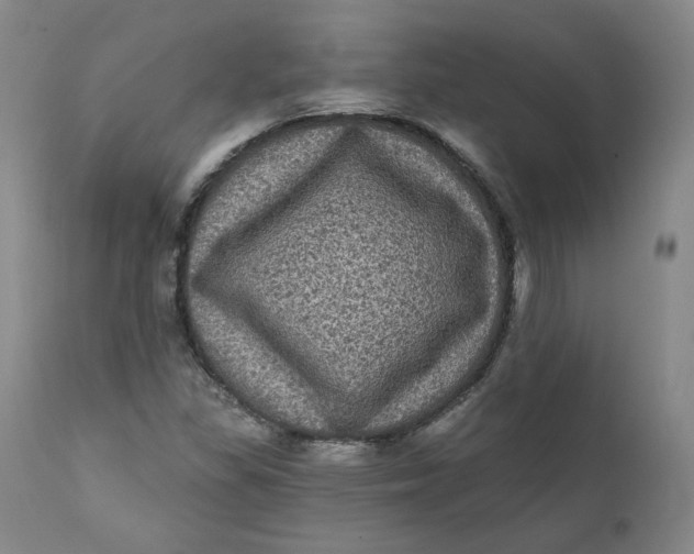 X0000111641309200908071332