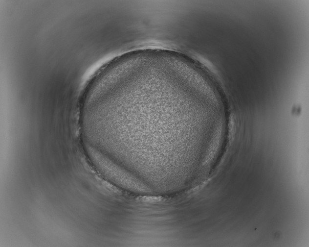 X0000111641310200908071332