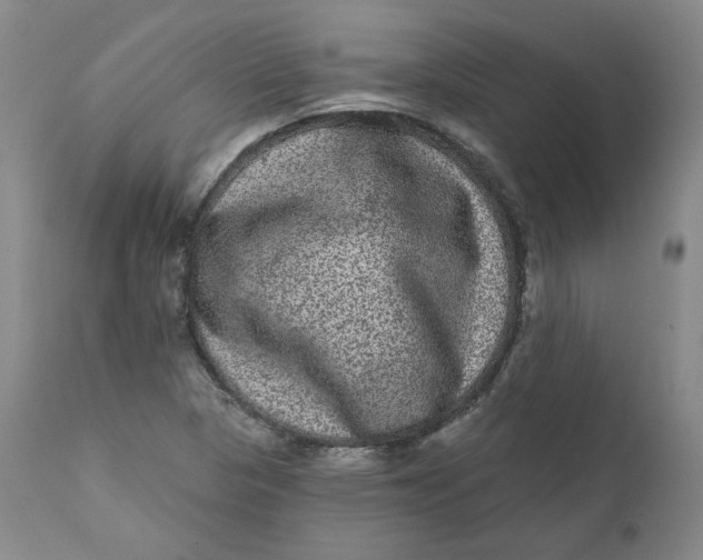 X0000111641313200908071332