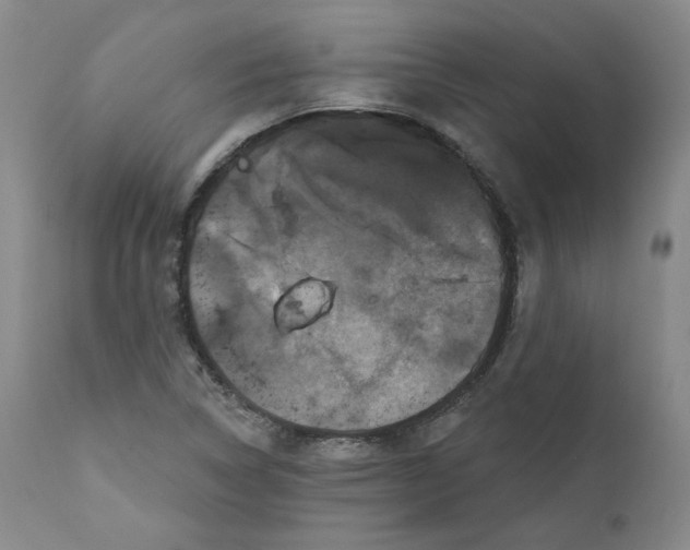 X0000111641314200908071332