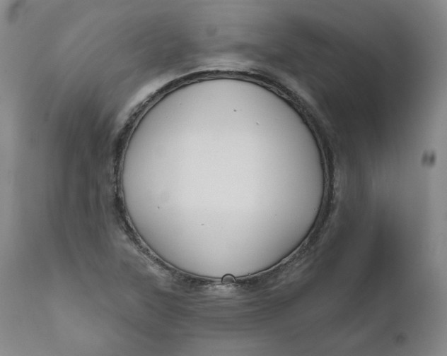 X0000111641315200908071332