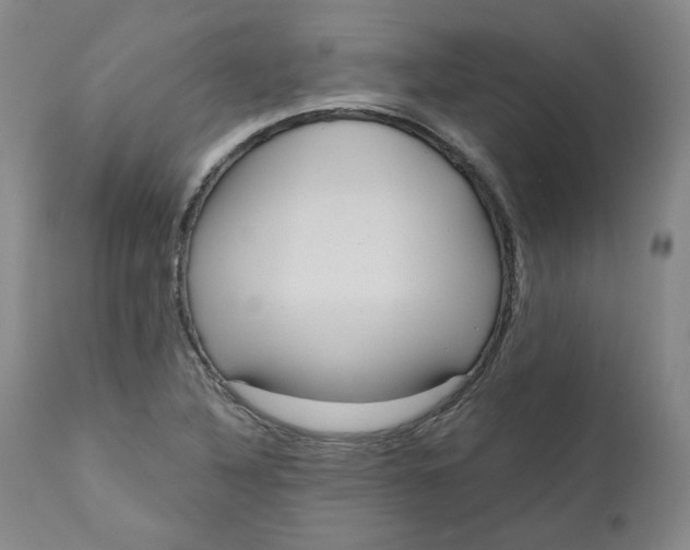 X0000111641316200908071332