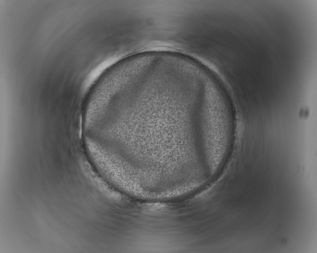 X0000111641317200908071332