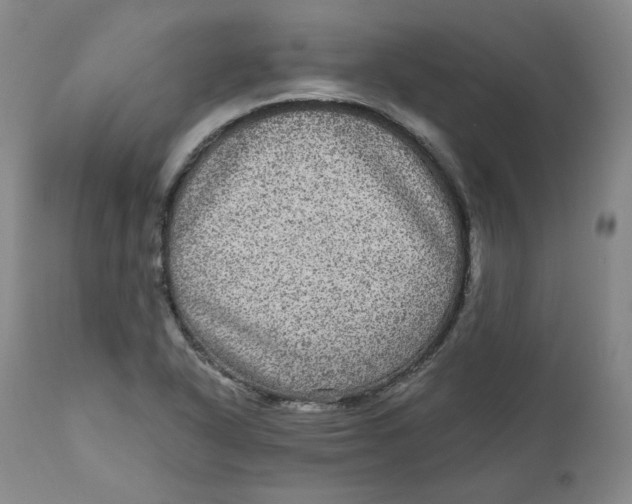 X0000111641318200908071332