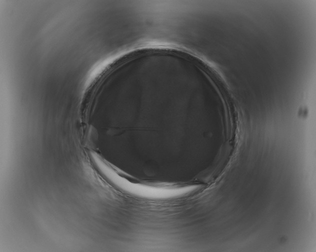 X0000111641319200908071332