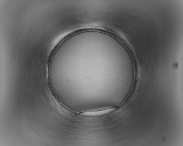 X0000111641320200908071332