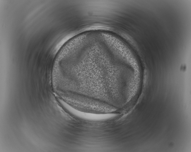 X0000111641321200908071332