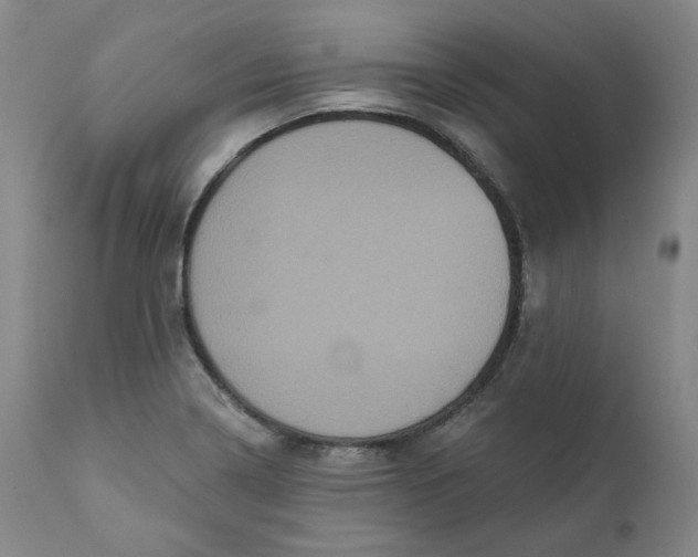 X0000111641322200908071332