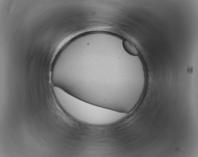 X0000111641324200908071333