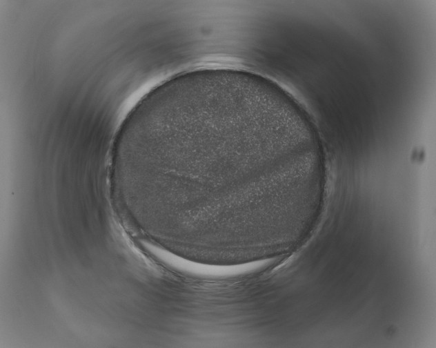 X0000111641325200908071333