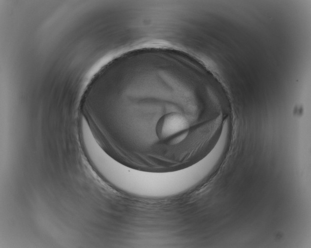 X0000111641326200908071333