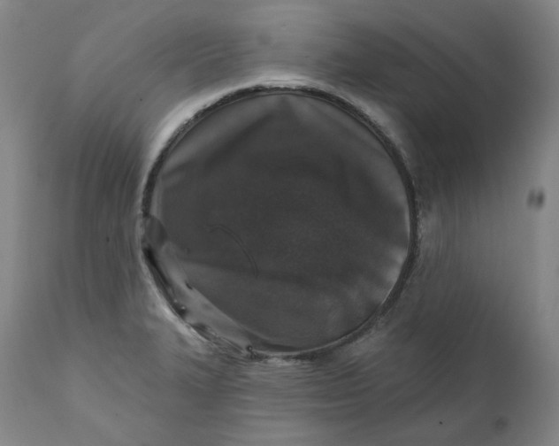 X0000111641327200908071333