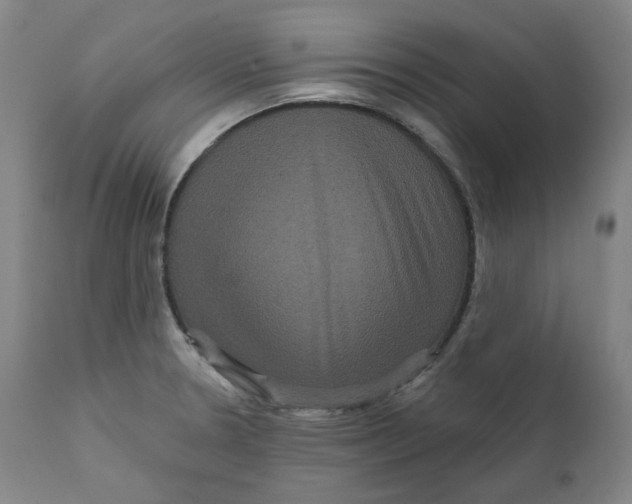 X0000111641330200908071333