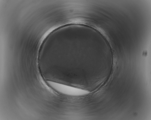 X0000111641331200908071333