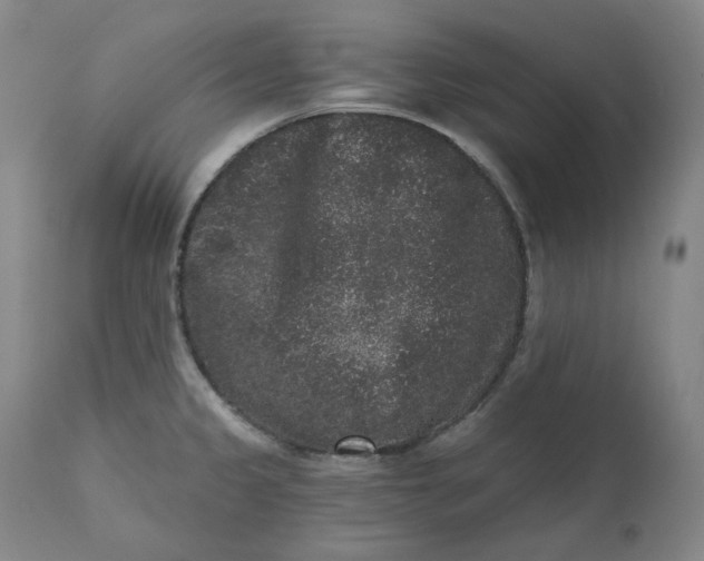 X0000111641333200908071333