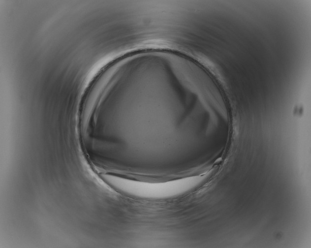 X0000111641334200908071333