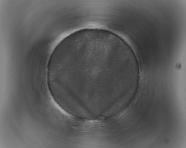 X0000111641335200908071333