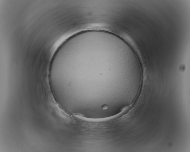 X0000111641336200908071333