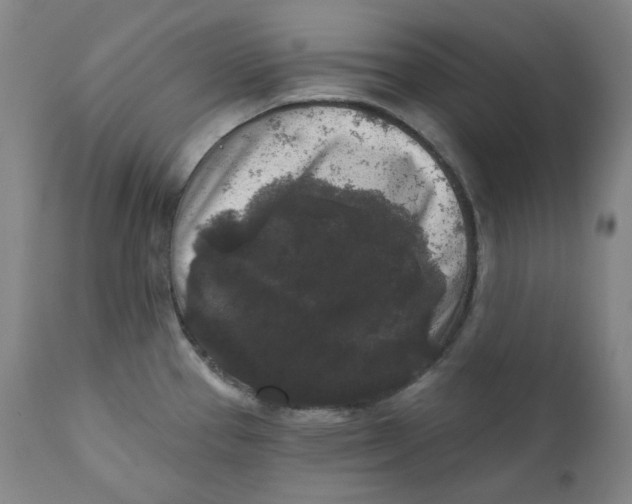 X0000111641337200908071333