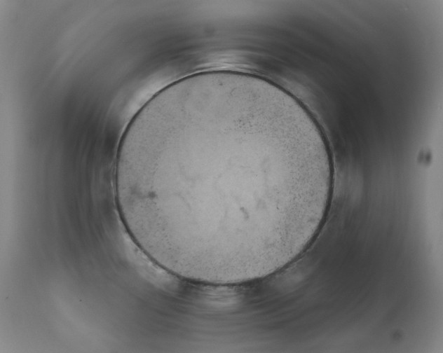 X0000111641338200908071333