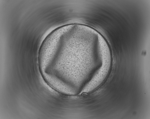 X0000111641339200908071333