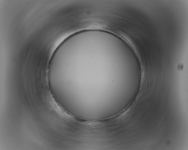 X0000111641340200908071333