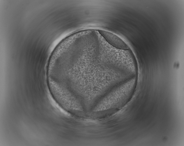 X0000111641341200908071333