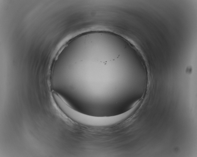 X0000111641342200908071333